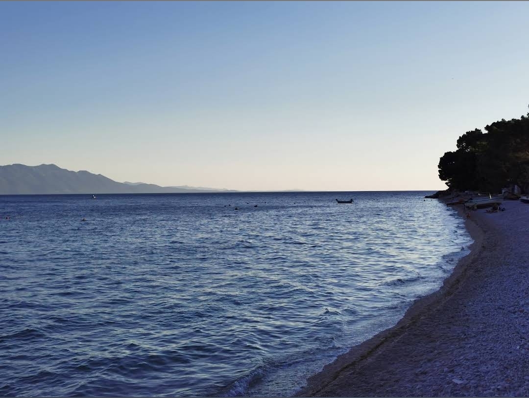 Podaca