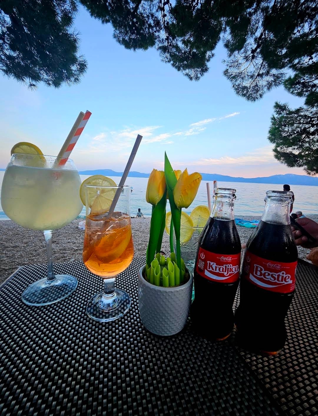 Karta pića